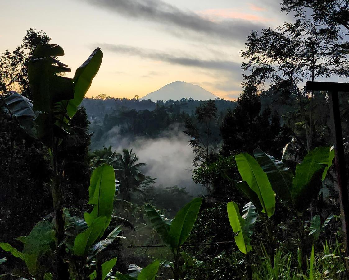Delta Casa Ubud-Cozy Tropical Villas With Volcano View Payangan Dış mekan fotoğraf