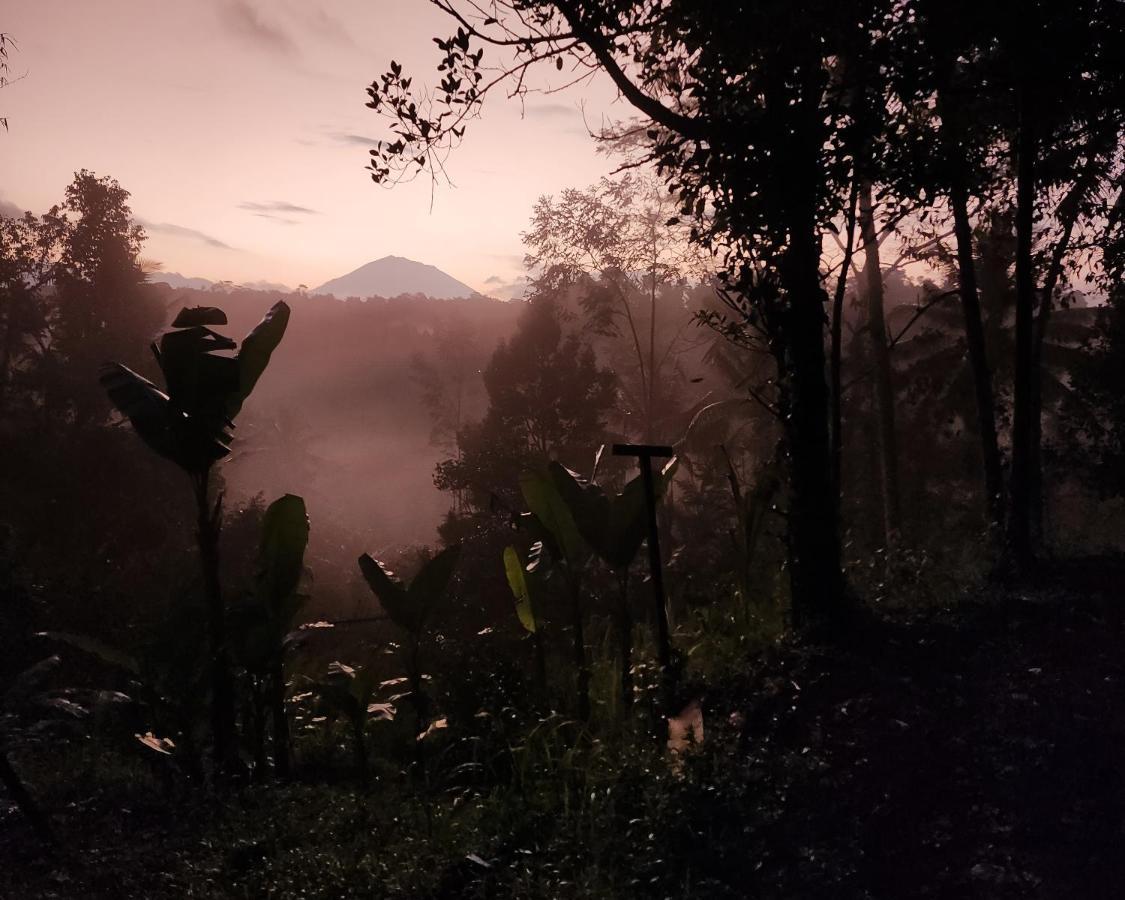 Delta Casa Ubud-Cozy Tropical Villas With Volcano View Payangan Dış mekan fotoğraf